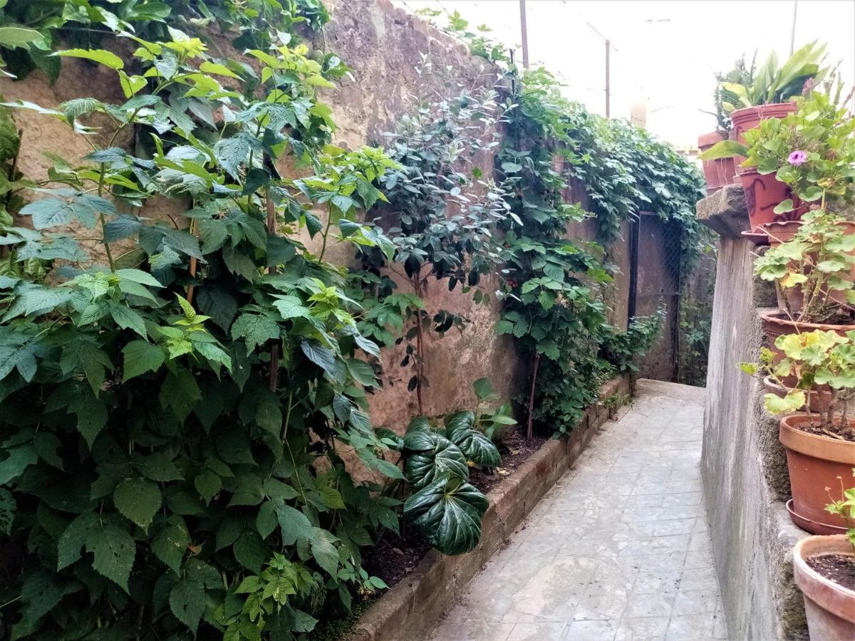 ホテル Casa Da Judiaria Velha ヴィゼウ エクステリア 写真