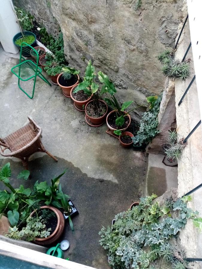 ホテル Casa Da Judiaria Velha ヴィゼウ エクステリア 写真