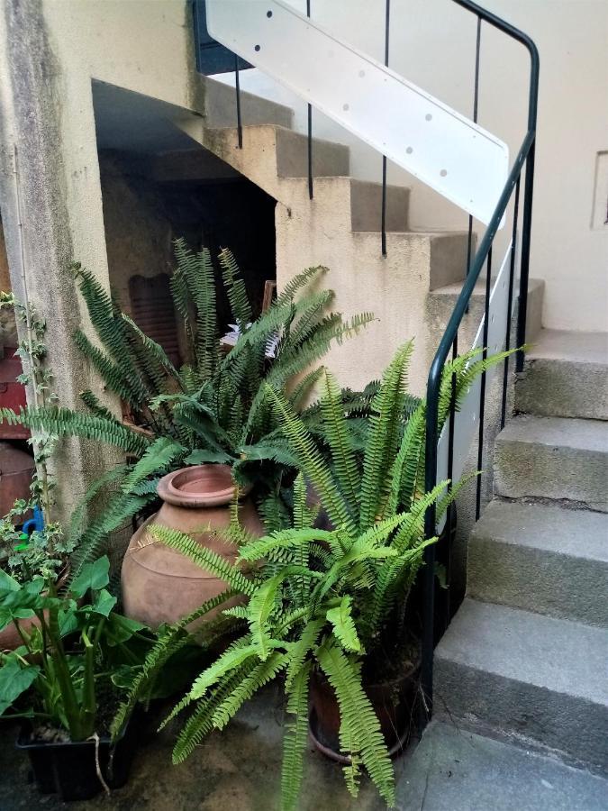 ホテル Casa Da Judiaria Velha ヴィゼウ エクステリア 写真