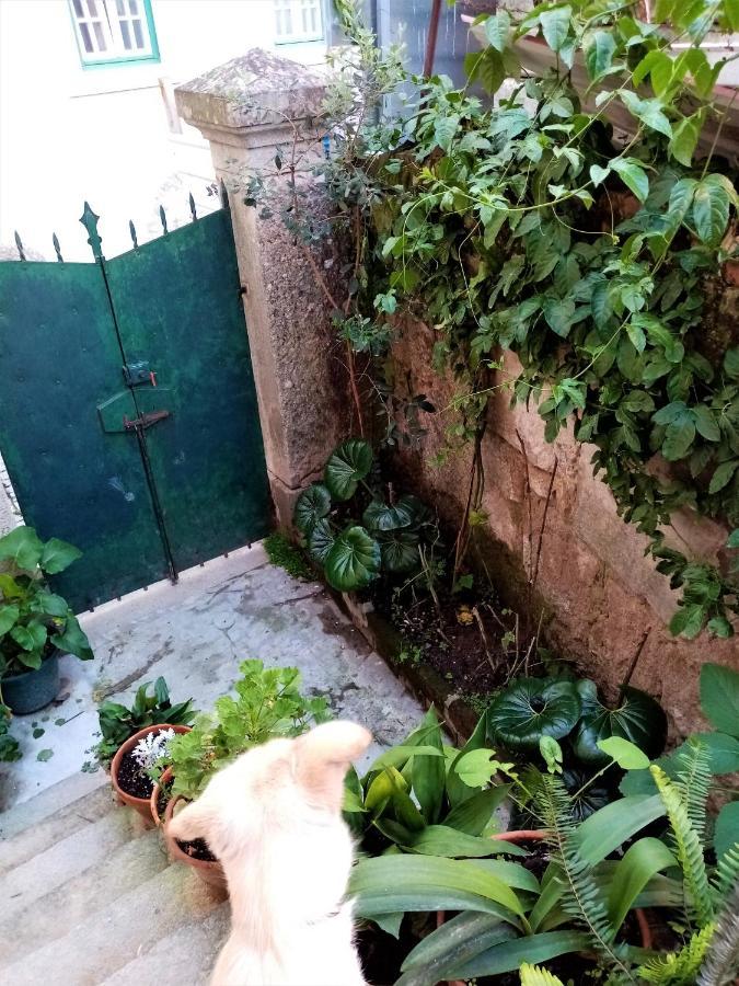 ホテル Casa Da Judiaria Velha ヴィゼウ エクステリア 写真