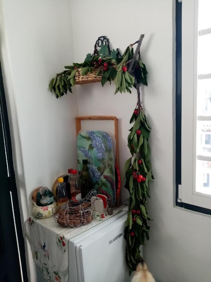 ホテル Casa Da Judiaria Velha ヴィゼウ エクステリア 写真